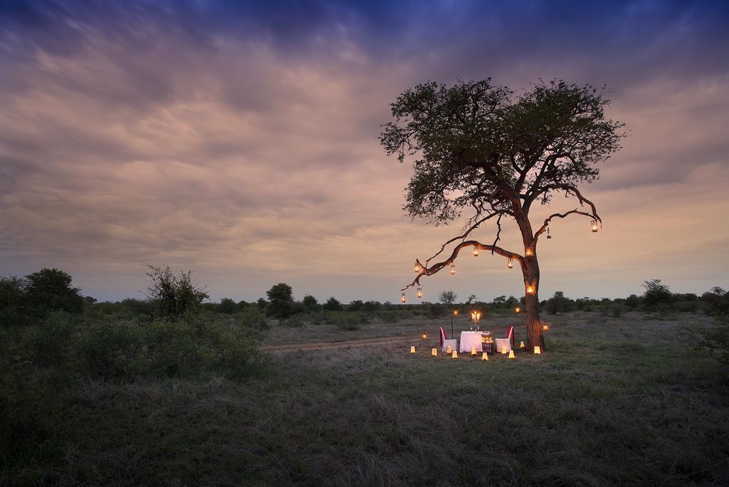 Tanda Tula Safari Camp Villa Timbavati Doğa Koruma Alanı Dış mekan fotoğraf